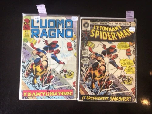 New ListingLot Of  2 AMAZING SPIDER MAN  #116  (1 FRENCH version )(1 ITALIAN version) Rare