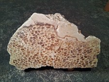 Dekorative, seltene rote Korallen (Coral), Schweizer Jura, Fossil, 4,5 kg
