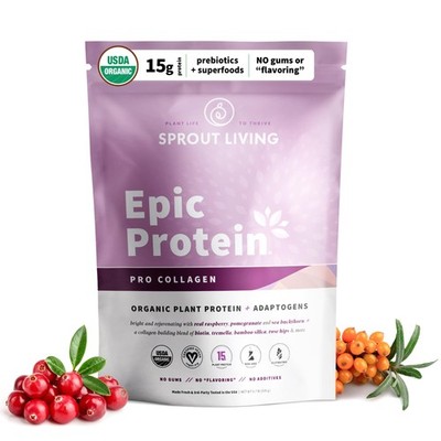 Sprout Living Epic Protein, Plant Based Protein & 12.8 Ounce (Pack of 1) 