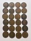 Lot of 24 Indian Head Pennies