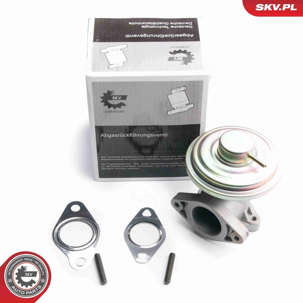 Esen Skv Agr Ventil 14SKV098 FüR B4Y Mondeo Bwy B5Y Transit Ford 3 Turnier Bus-image