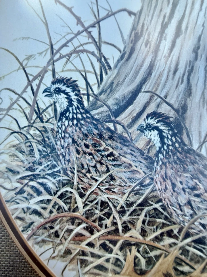 Conjunto De Colección Enmarcado, Mate James R. Darnell Firmado Urogallo Impresiones 796/950 Big J.R. Foto 4 de 4