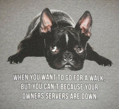 PUG - NO WALK, SERVERS ARE DOWN - Men's size XL - Graphic T-Shirt