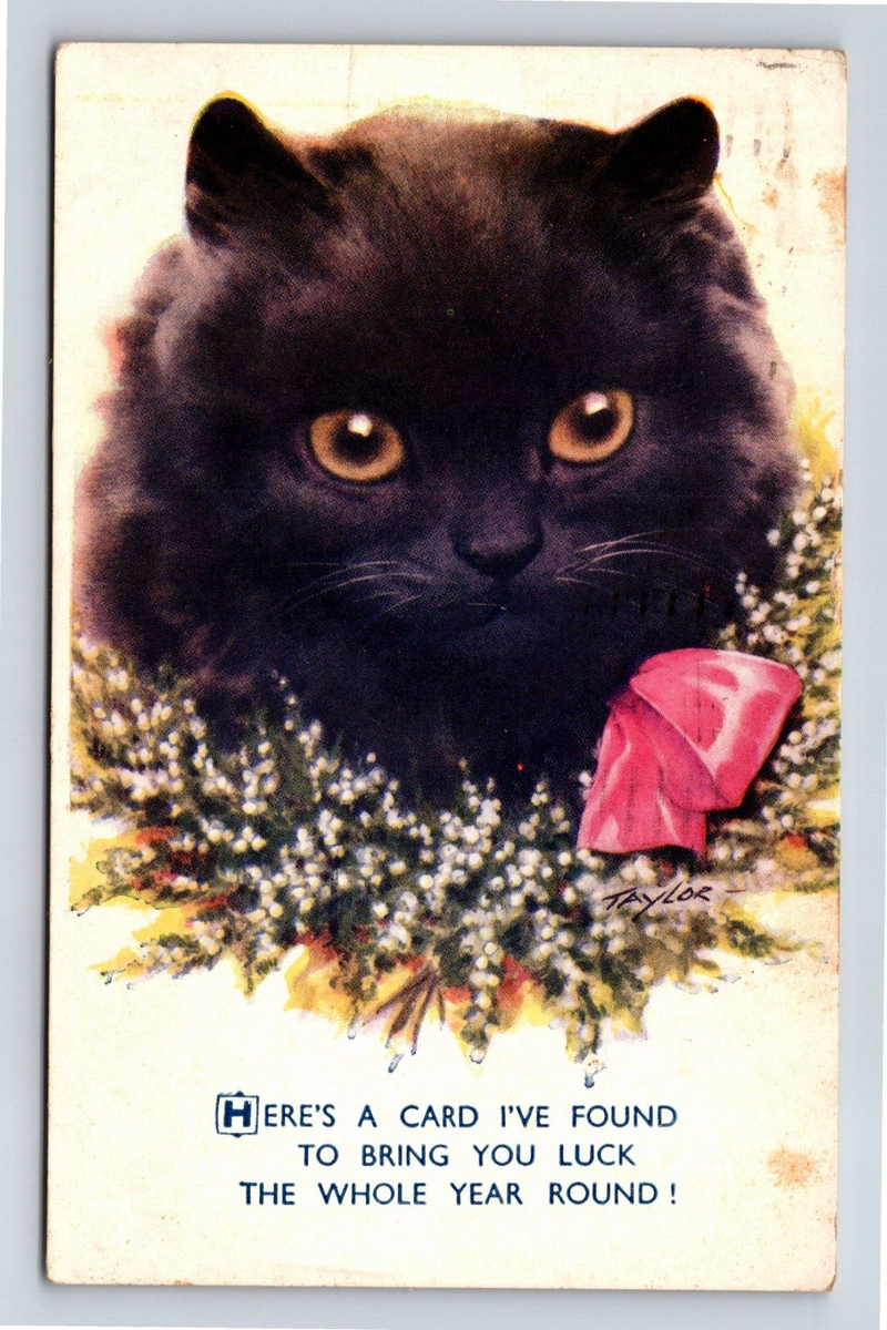 Black Cat Pink Bow Here's a Card To Bring You Luck Year Round