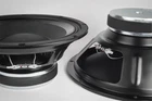 AUTHENTIC Faital Pro 10FE300 10 Midbass 8 Ohm 500 Wts