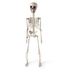 Halloween Skeleton 70 Cm Holiday Decoration Transparent OPP Bag