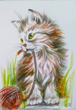 ACEO cat watercolor pencil by the author original 3,5
