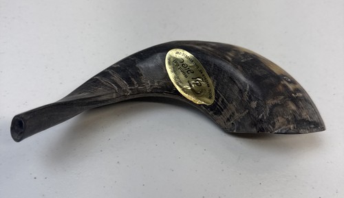 Shofarot-Israel Kosher Ram's Horn Shofar