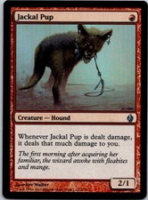 Jackal Pup U Premium Deck Series: Fire and Lightning 2 LP MTG Foil Magic