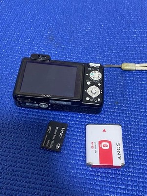 Sony Cyber-shot DSC-W170 10.1MP Digital Camera - Silver (DSC-W170