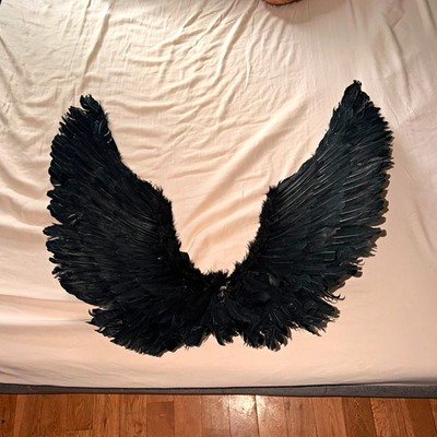 Black Real Feather Angel Wings Costume Accessory for Adult Unisex Costume Theme