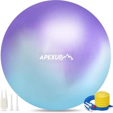 APEXUP Yoga Ball Exercise Anti Slip Heavy L (23"~26") 65cm, Blue Purple 