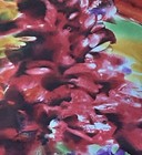 Picture 4 of 9