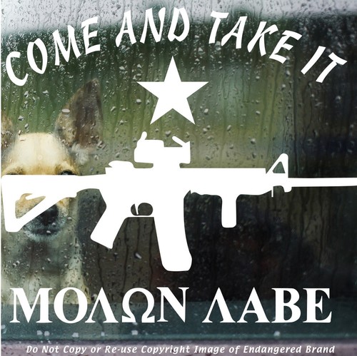 AR Rifle Star Come Get It Molon Labe Texas 2nd Amendent NRA Guns Molan Sticker  - Bild 2 von 12