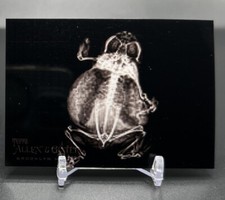 2024 Topps Allen & Ginter Oregon Zoo American Bullfrog X-Ray Insert #XR-10