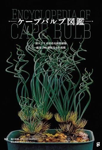 Discover 230+ bulbous plants in this comprehensive Cape Bulb Illustrated Guide