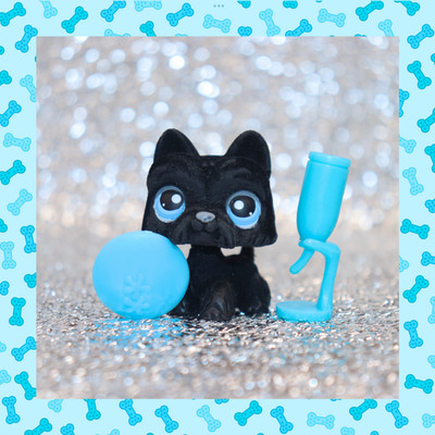 Littlest Pet Shop Authentic LPS #315 Black Scottie (V1) Fuzzy/Flocked Blue Eyes