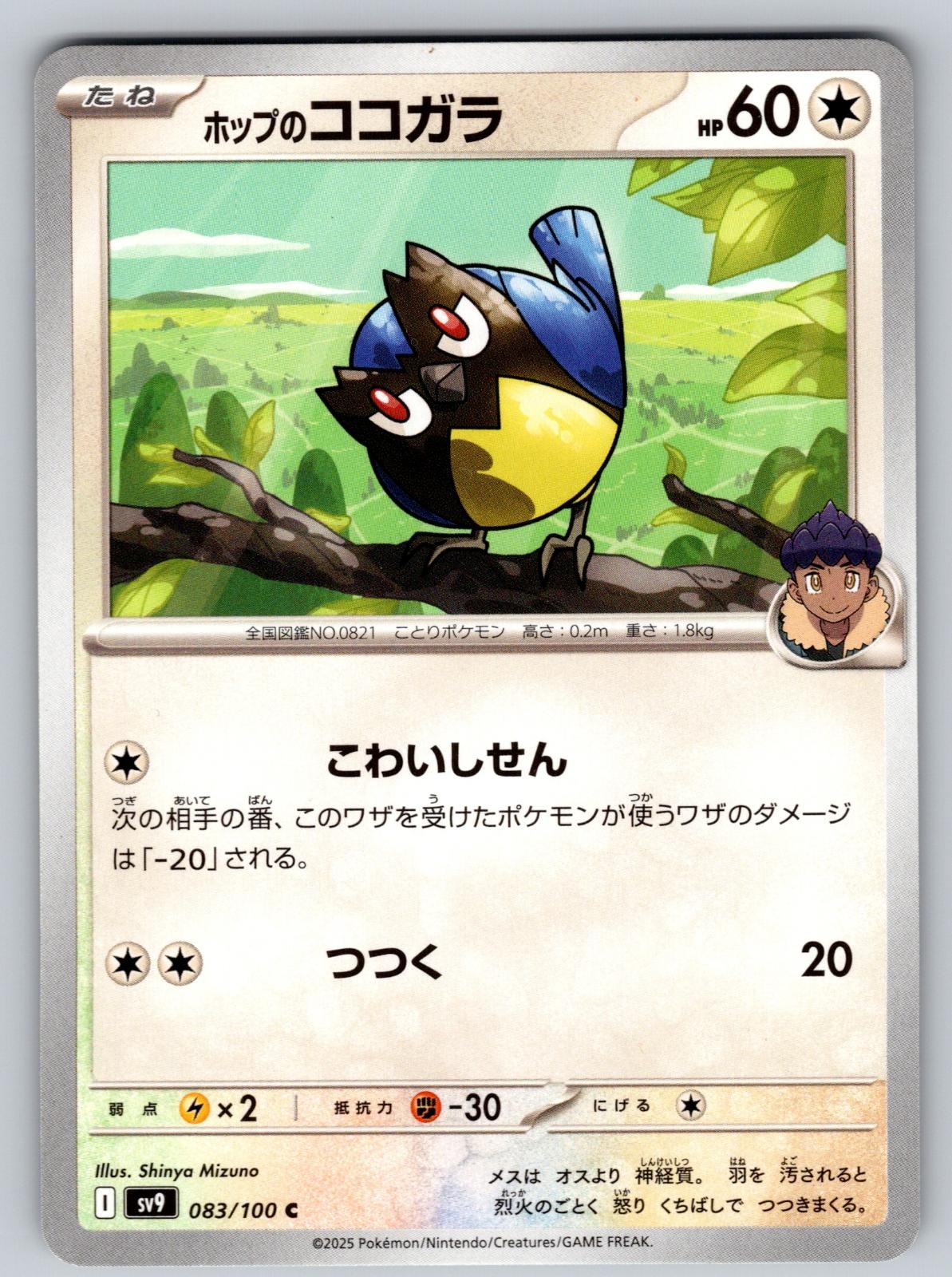 Hop's Rookidee 622/742 Starter Deck 100 Battle Collection Japanese Pokemon NM