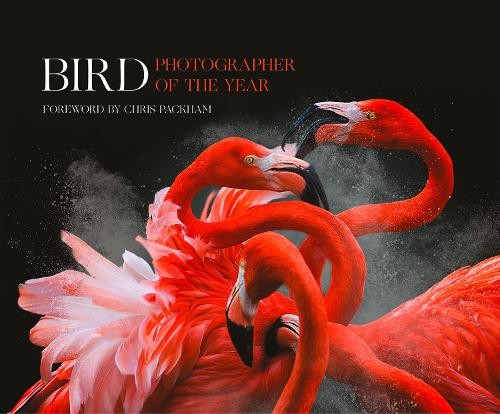 Bird Photographer of the Year: Collection 3 By Bird Photographer of the Year, C - Image 6