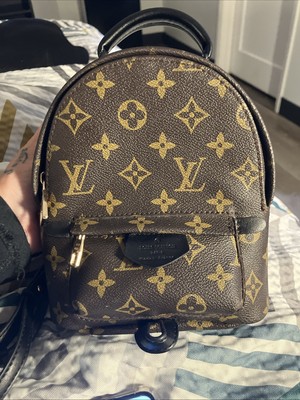 Louis Vuitton mini Palm Springs Backpack Brown