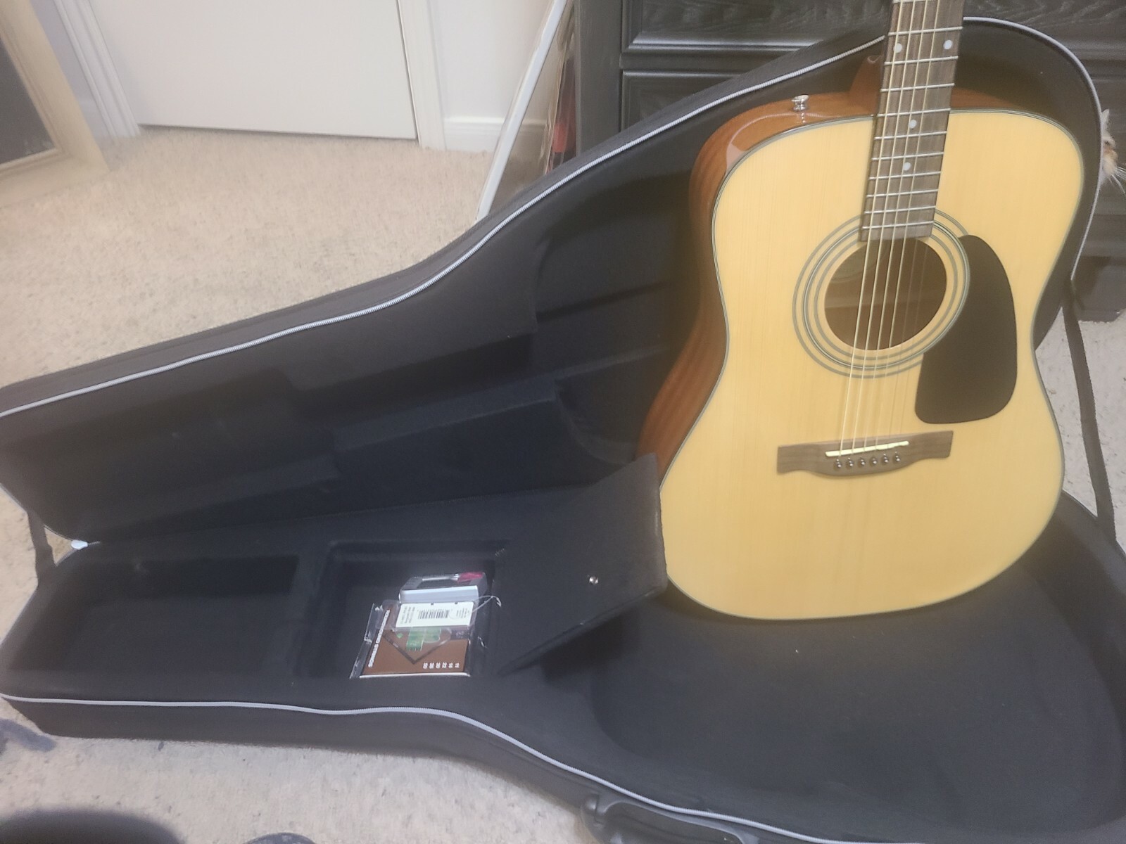 DG60/NAT Fender Acoustic Guitar w/ case and accessories eBay