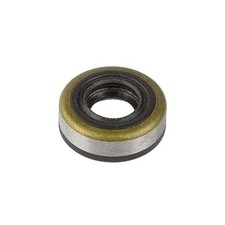  1300016001 Shift Shaft Seal, 1 Pack 