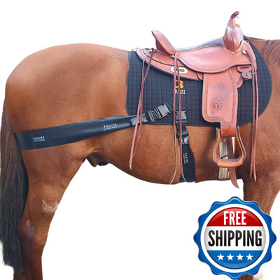 Equine Balance Bands Equine Band System - Core Training Aid For Horses Western