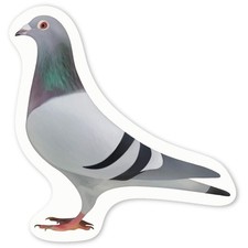 'Pigeon' Decal Stickers DW024195