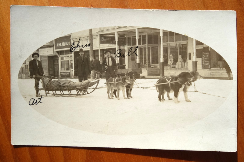 dog sled outside Brown and Hawkins Hardware Seward AK rppc driver named ALASKA