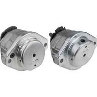 NTY Set Lagerung Motor Links Rechts FüR BMW 5Er E60 520I 523I E61 525I E64 630I