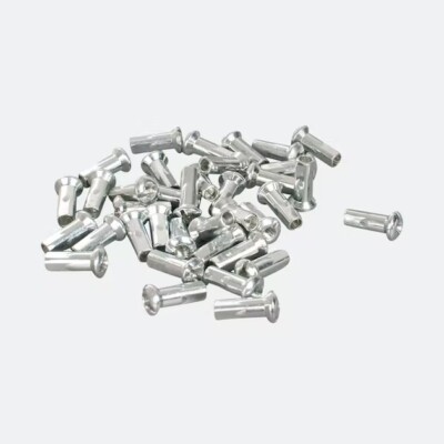 eMagTech 100pcs Écrous de Rayon Roue de Vélo Protecteur de