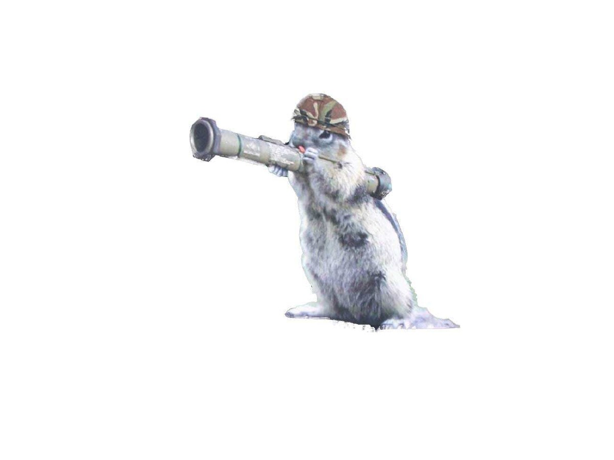 Squirrels With Bazookas