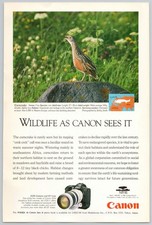 1994 Canon EOS 1 Camera Vintage Print Ad: European Corncrake Bird