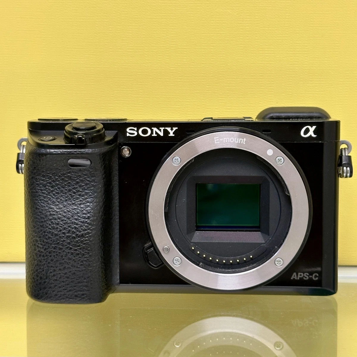 Sony Alpha A6000 Digital SLR Cameras for Sale | Shop New & Used
