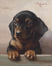 Adorabile poster cucciolo bassotto - arte antica da parete per cani -...