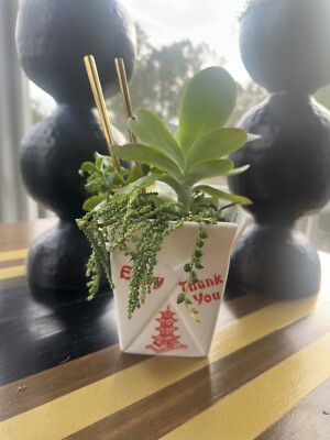 Ceramic Chinese Takeout Container Planter Vase With Succulent Assortment