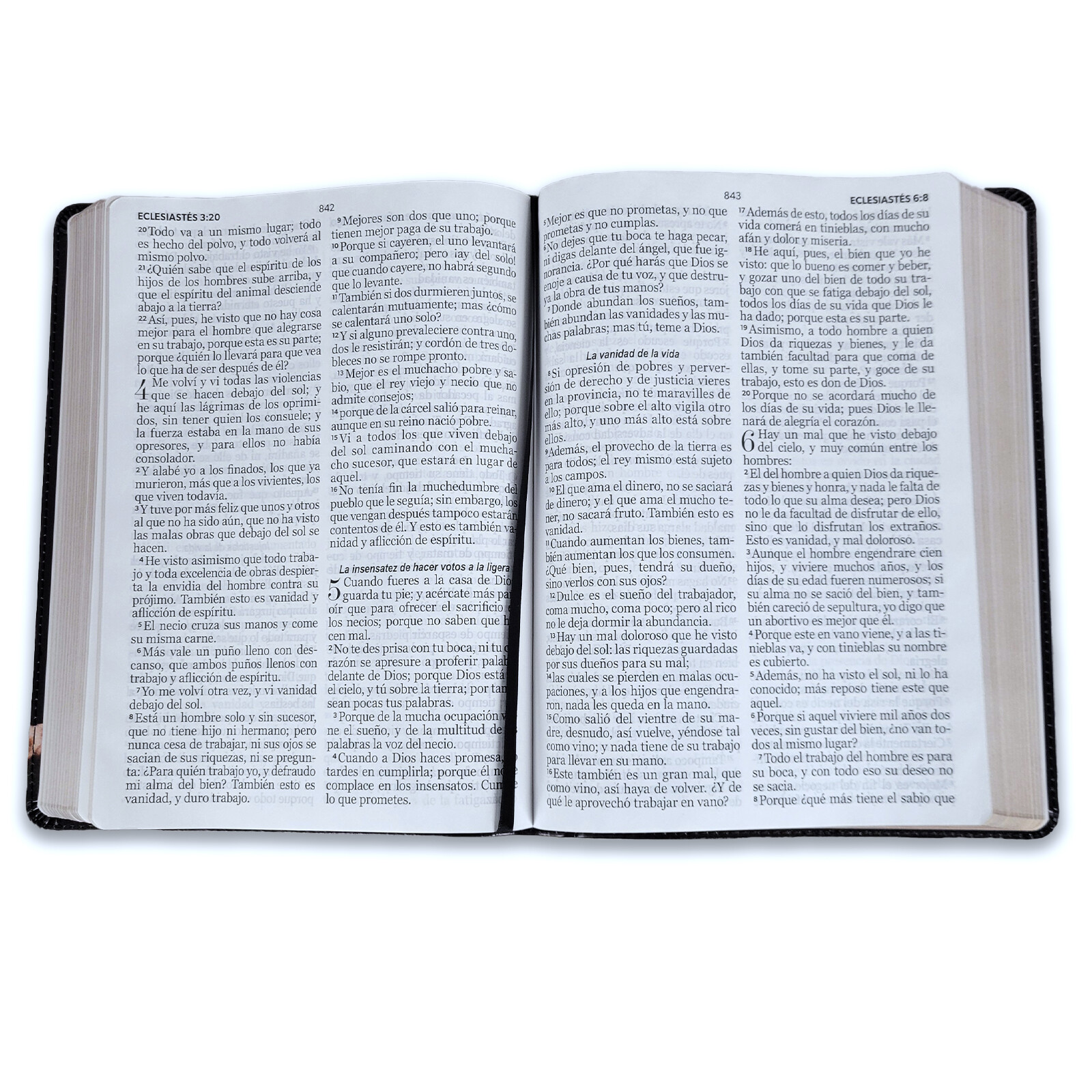 Biblia Letra Gigante 15 puntos RV1960 imit piel león y cordero Falak