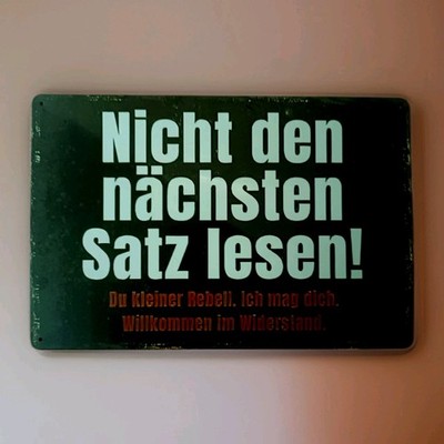 Blechschild - *NICHT DEN NÄCHSTEN SATZ LESEN...* -SPASSSCHILD - 20 x 30 cm- NEU!