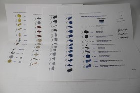 Lego Star Wars -7131 -Anakin's Podracer - Complete w/Instructions & Checklist