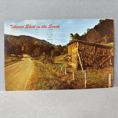 Postcard Tobacco Drying Shed in the South 1966
