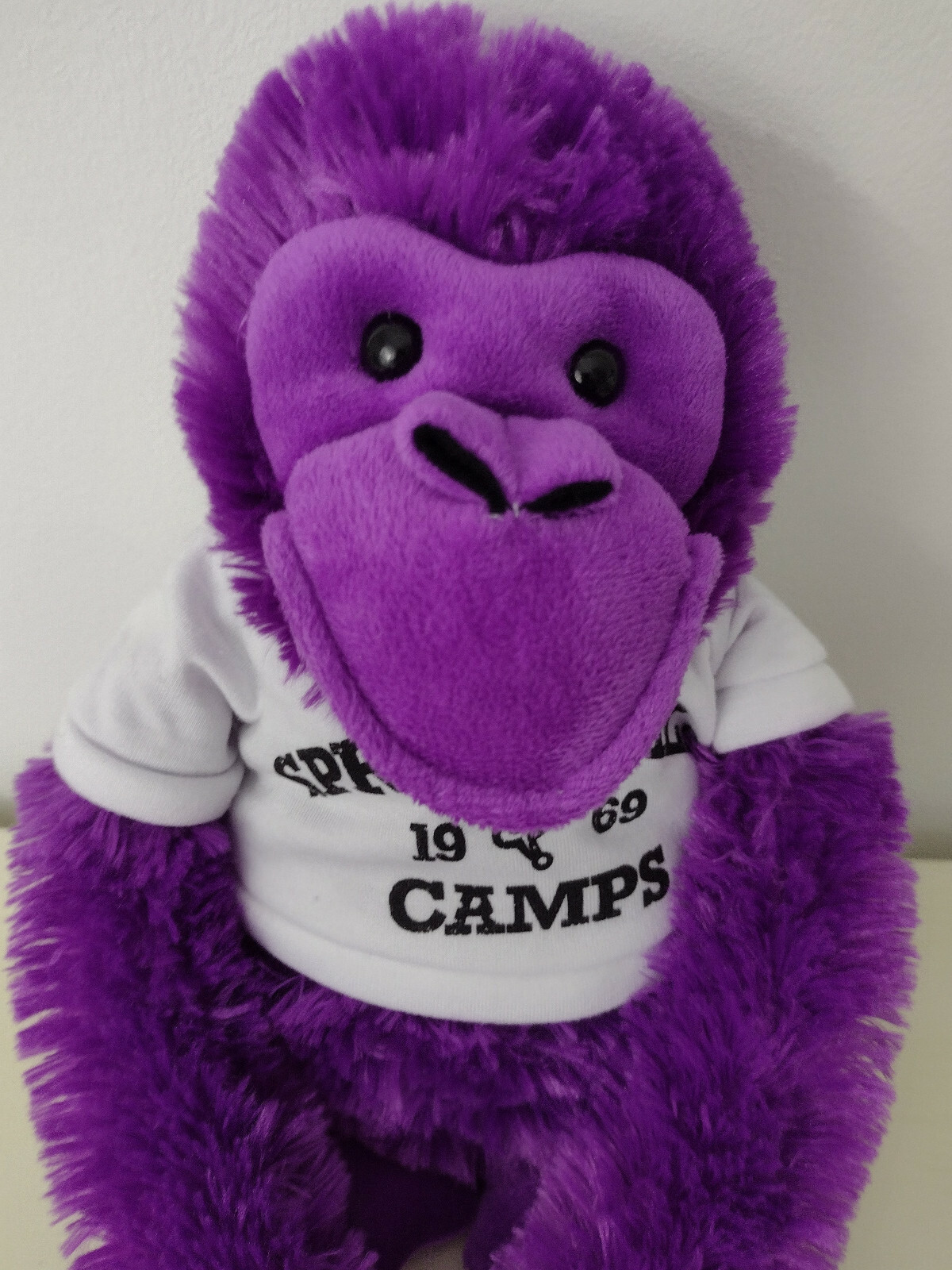 squishy squooshems cat