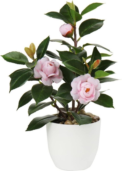 KüNstliche Kamelie Kunstpflanze Seidenblumen Deko 28Cm Rosa-image