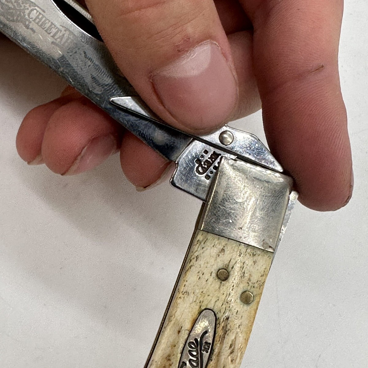 CASE XX CHEETAH KNIFE 6.5111 1/2 BONE-STAG HANDLES UNUSED CASE XX CHEETAH KNIFE 6.5111 1/2 BONE-STAG HANDLES UNUSED