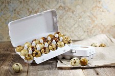 360 Delikatess Wachteleier Speiseeier