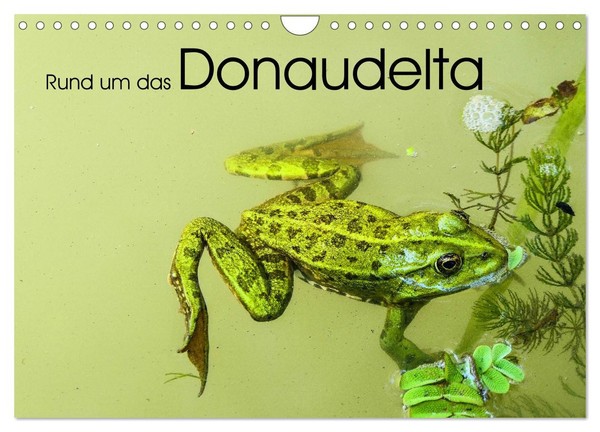 "Calendar 2027 · US Version · Around The Danube Delta (Wall Calendar 2027 12\" × 8"-image
