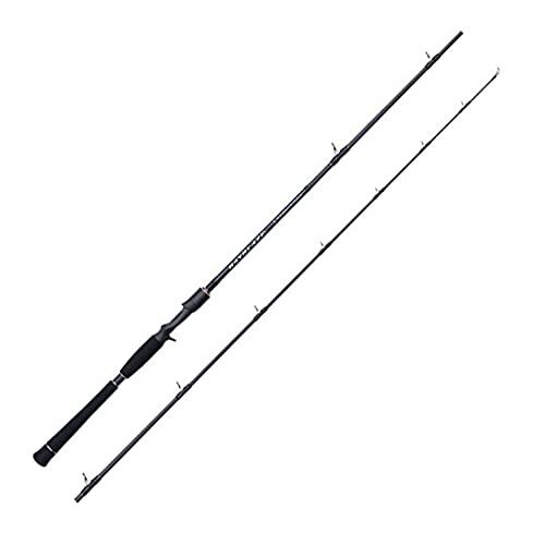 TENRYU Spinning Rod BAYBLAZE BBZ601B-XXX