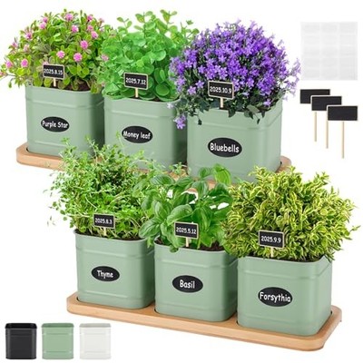 LemonRoad 6 Pcs Indoor Herb Planter Window Herb Pots for Sage Green Square