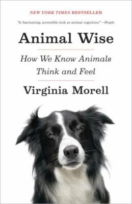 Animal Wise : How We Know Animals Think and Feel by Virginia Morell