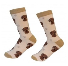 Dachshund Red Socks Unisex Dog Cotton/Poly One size fits most