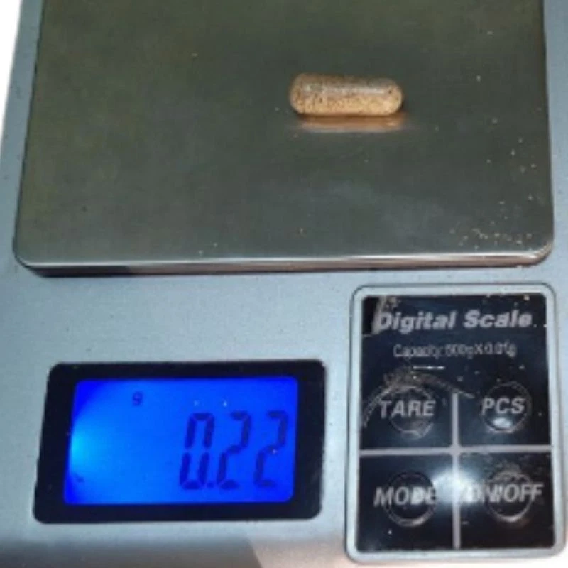 Moina Macrocopa huevos quistes peces vivos alimento guppy proteína agua natural 50 Cap. Foto 3 de 4